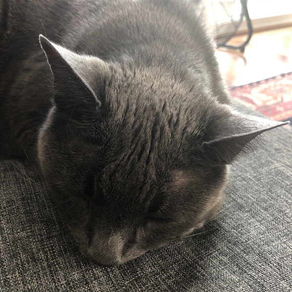 Meet your Posher, Jenna - Picture 1 of 1